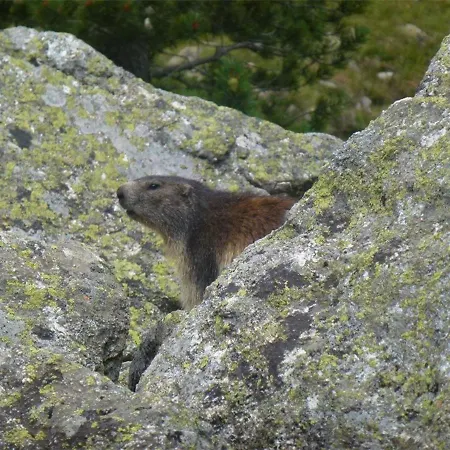 T2 Centre - 4 Pers., Wifi - Fr-1-234-121 * קאוטרט