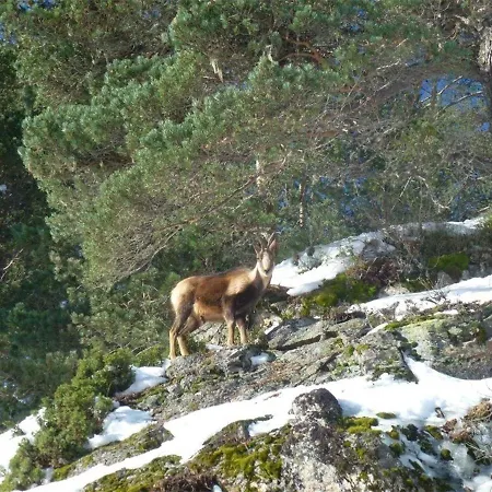 דירה T2 Centre - 4 Pers., Wifi - Fr-1-234-121 קאוטרט